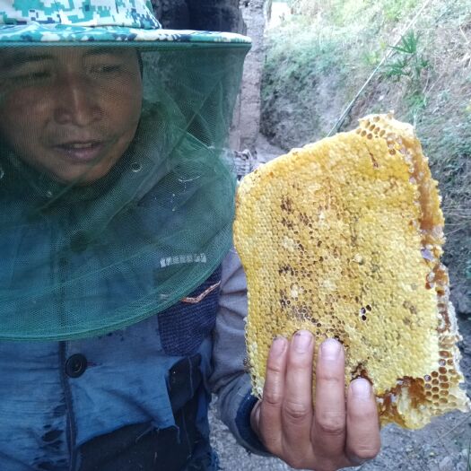 景东县土蜂蜜 玻璃瓶装 2年以上  