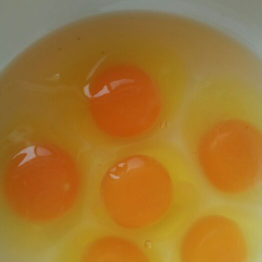 朝阳笨鸡蛋 食用 礼盒装 