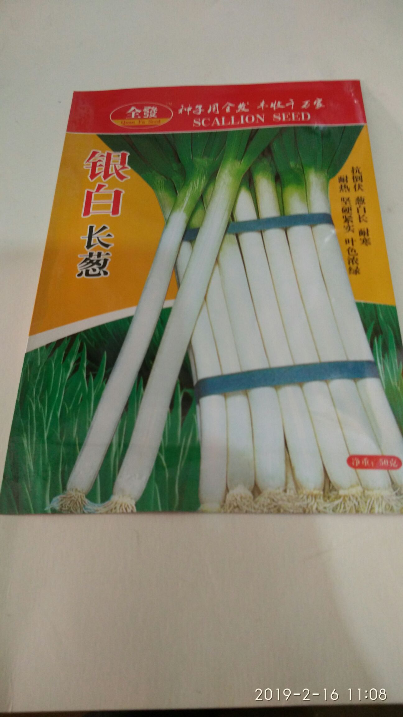 长白大葱种子 ≥80% 常规种 