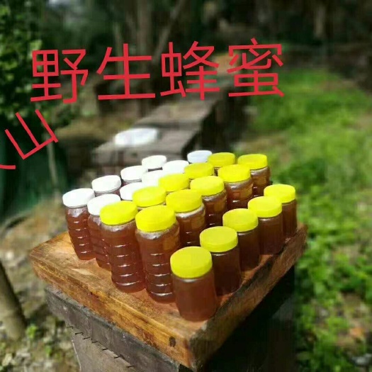 全州县野生蜂蜜 塑料瓶装 2年以上  