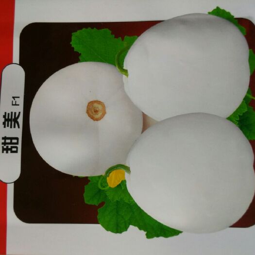 郑州白沙蜜甜瓜种子 ≥85% 杂交种 
