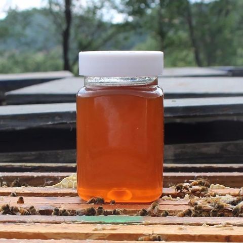 平南县 蜂蜜   荔枝蜜  自产自销优质蜂蜜