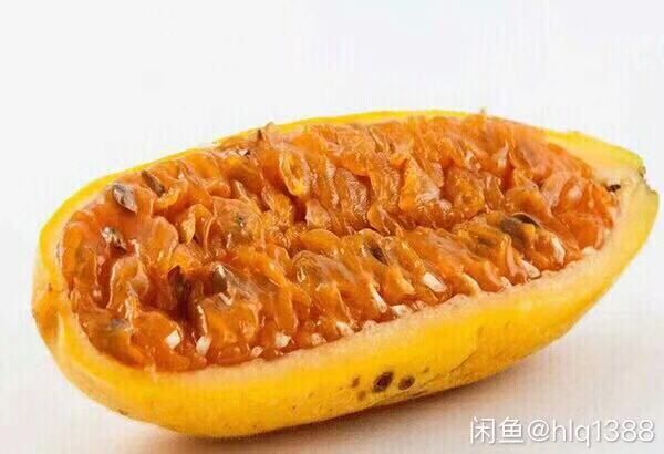 灵山县香蕉百香果苗 