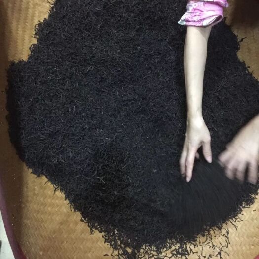 饶平县单枞茶 一级 罐装