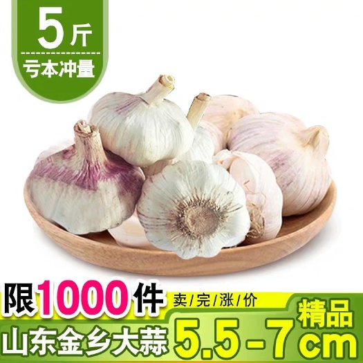 金乡县金乡大蒜 5.5-6.0cm 多瓣蒜 
