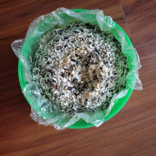 南昌平菇菌种  蘑菇萌萌菇盆栽食用