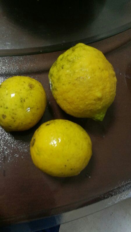 成都黄柠檬 2 - 2.6两 