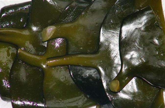 盐渍海带头  超级补碘每箱5斤