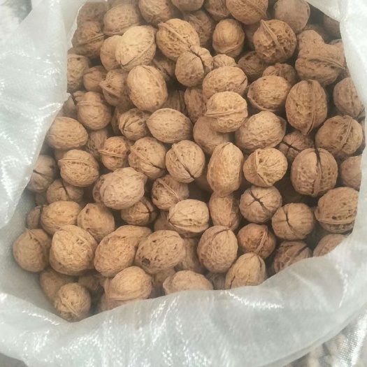 姚安县大姚核桃 