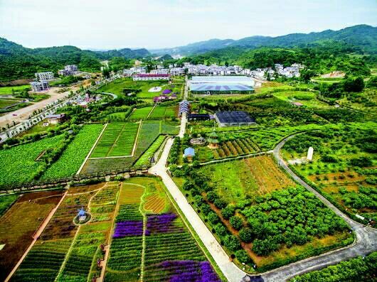 岳阳水田 出租 20~30年 100~500亩 