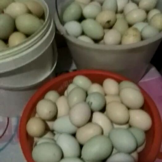 巴中土鸡蛋 食用 简包装 