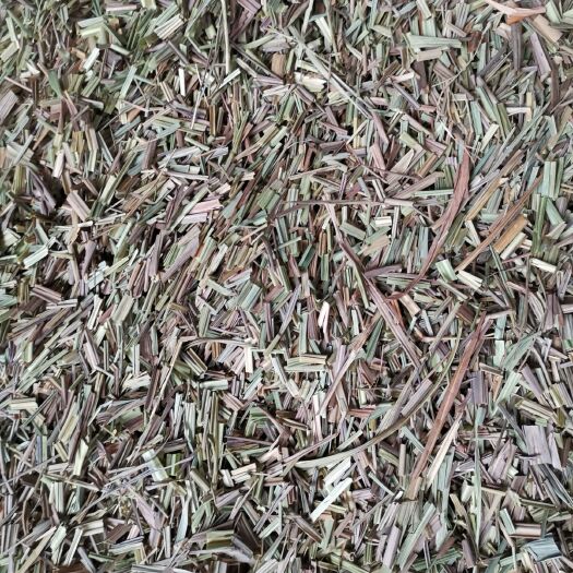 金平县香茅 芸香草 筋骨草、小草(四川，臭草、 草(云南