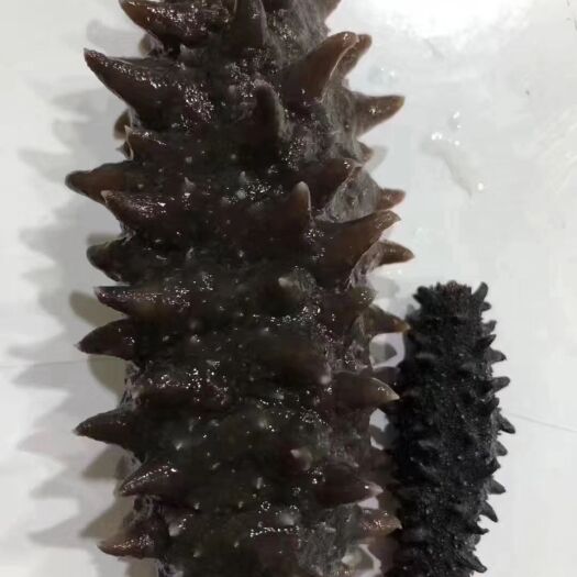珲春市防风 