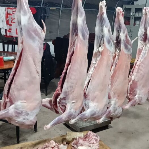 金华羊肉类 生肉 