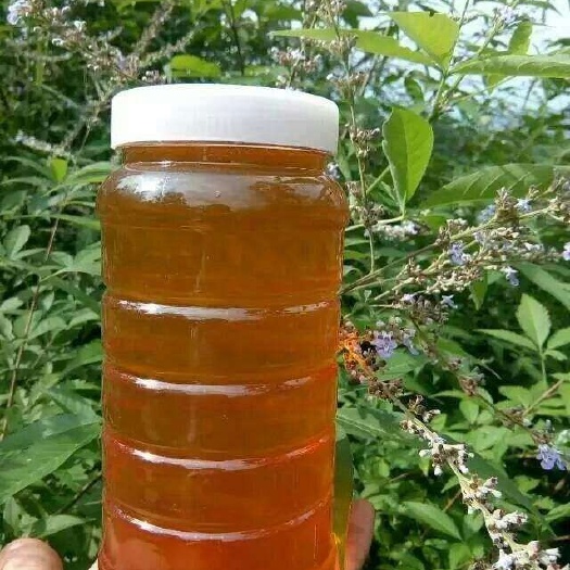 潍坊荆条蜜 桶装 2年  