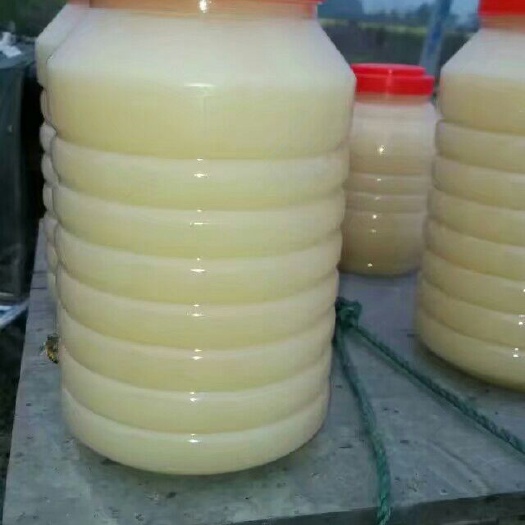成都油菜蜜 塑料瓶装 1年 98% 