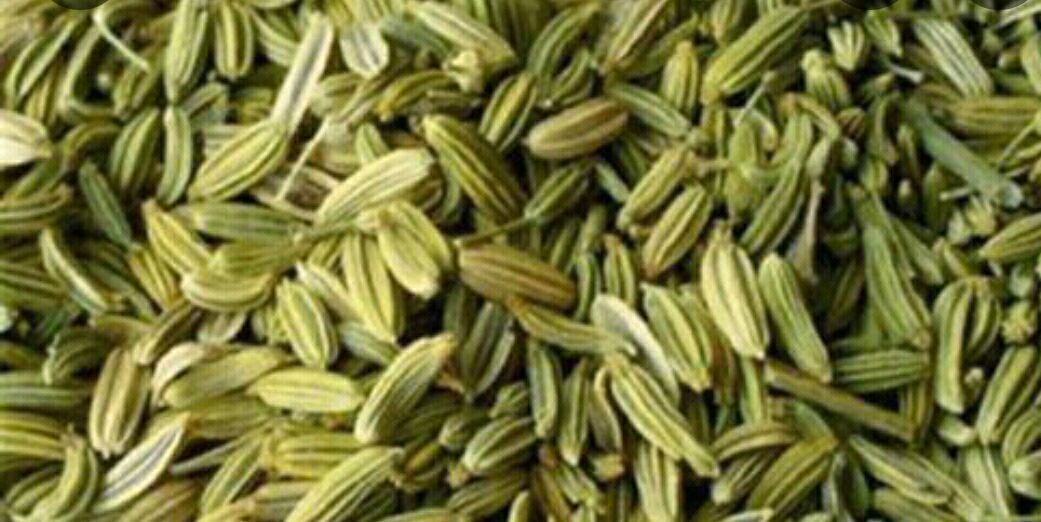 玉门市大茴香 