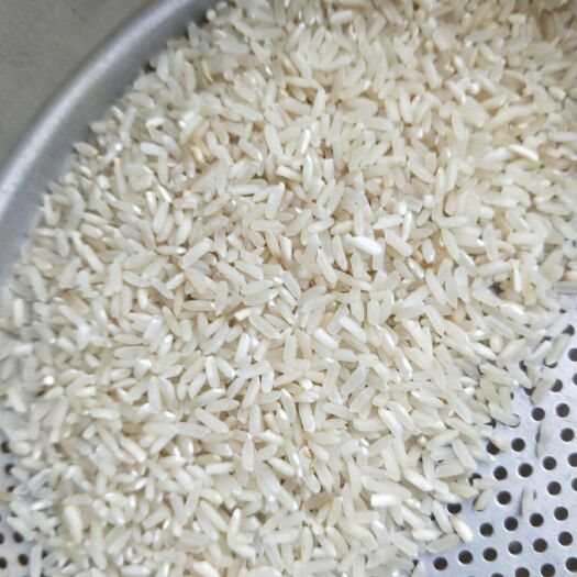 浠水县籼米 一等品 晚稻 籼米 