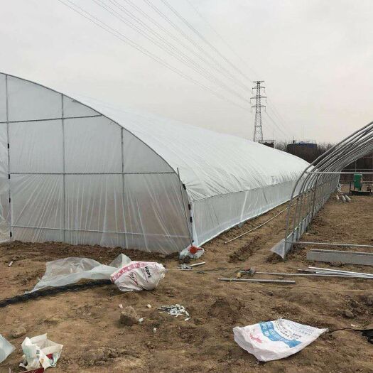 沭阳县钢管大棚 