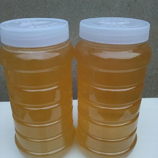 磁县荆花蜜 塑料瓶装 2年以上 95%以上  荆条蜜