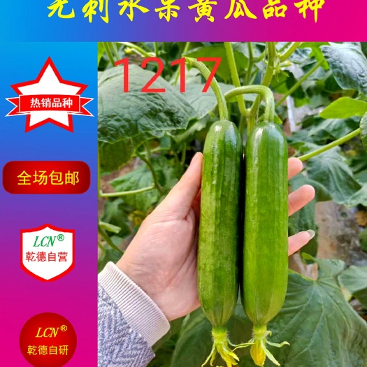 寿光市乾德1217黄瓜种子  乾德1217、农业部登记品种、水果黄瓜种子寿光醉美小黄瓜品种