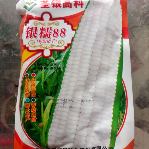 虞城县糯玉米种子 双交种 ≥95% 