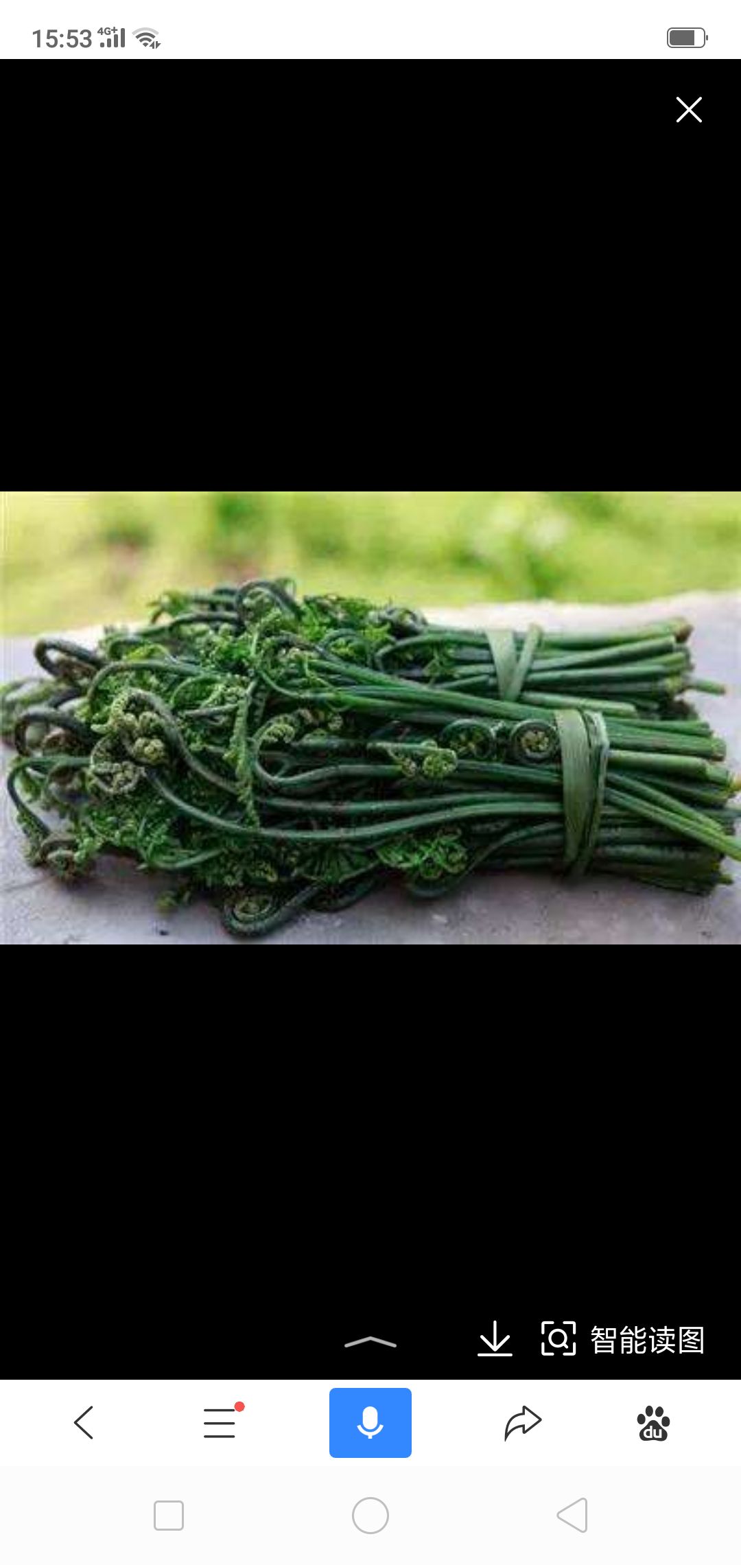 野生蕨菜 干货 