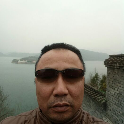 旱地 合作 5~10年 50~100亩 