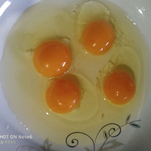 洪雅县乌鸡蛋 挣粮食钱，，