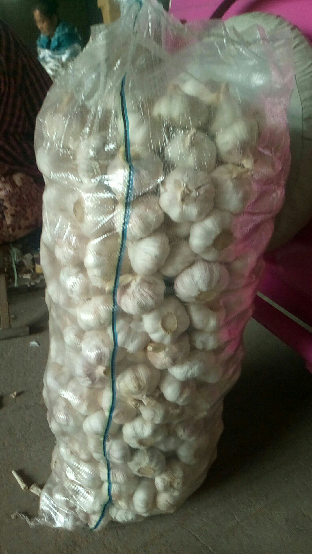 金乡大蒜 6cm以上 多瓣蒜