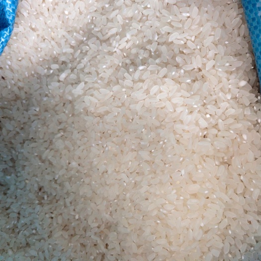 唐山柏各庄大米 一等品 一季稻 粳米 