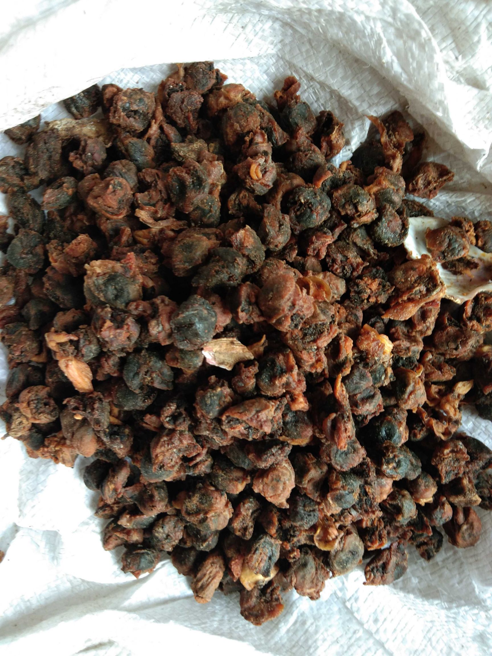 饲料鱼干喂猪河北渤海湾新出水煮熟鱼喂螃蟹气味好价格低量大从优