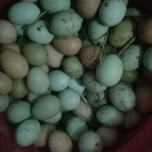 修水县土鸡蛋 食用 简包装 