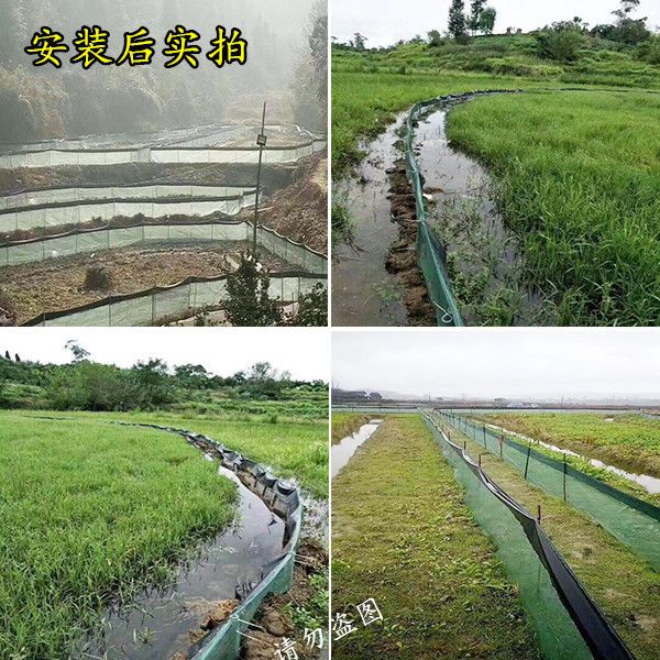 网 龙虾青蛙螃蟹