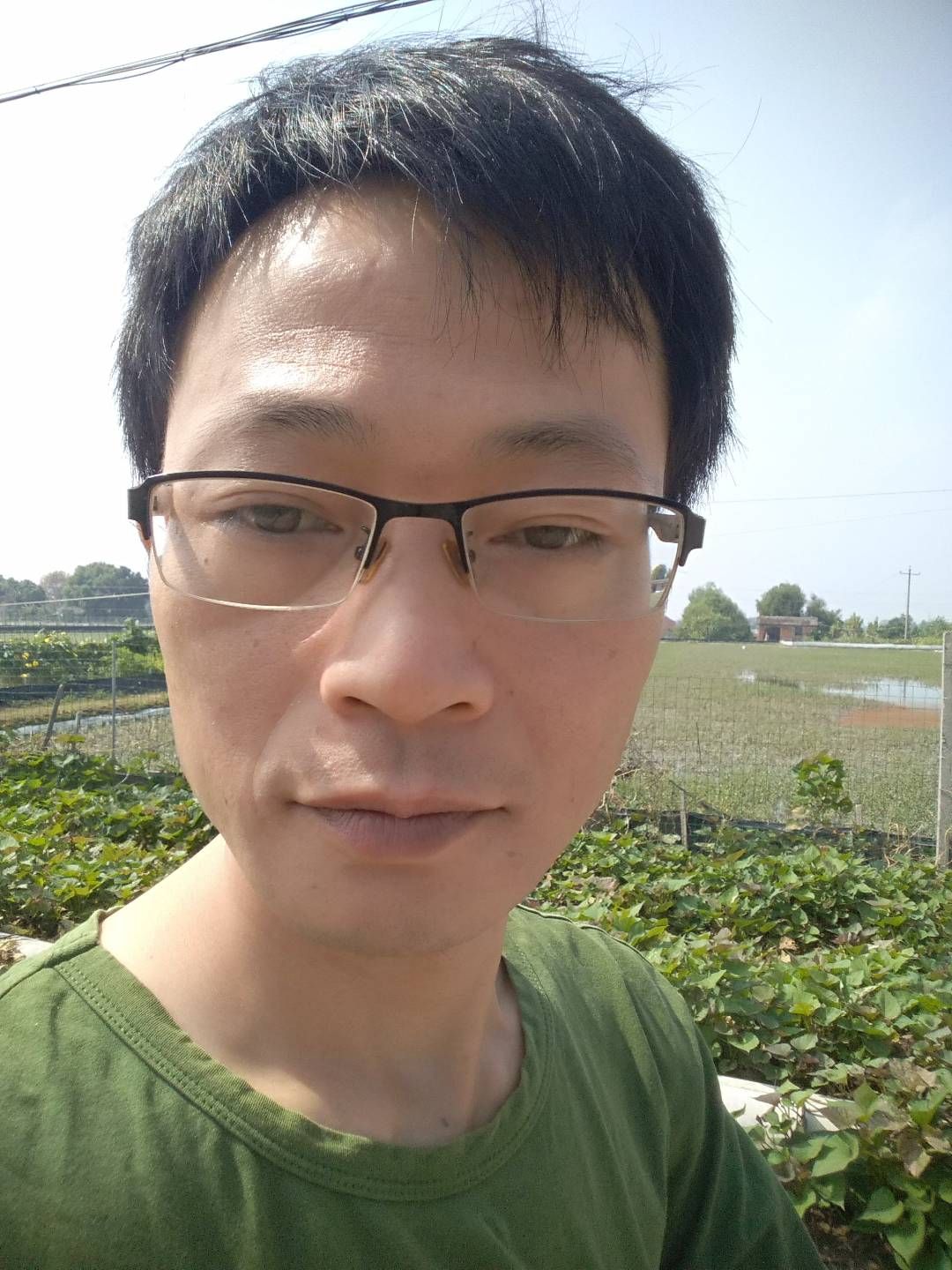 河蟹苗 