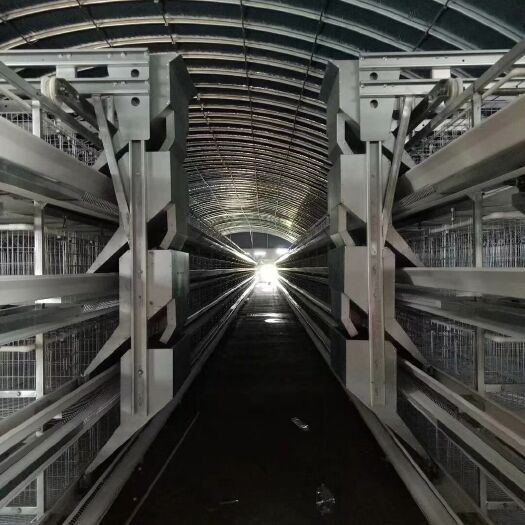 西平县 阶梯式蛋鸡笼