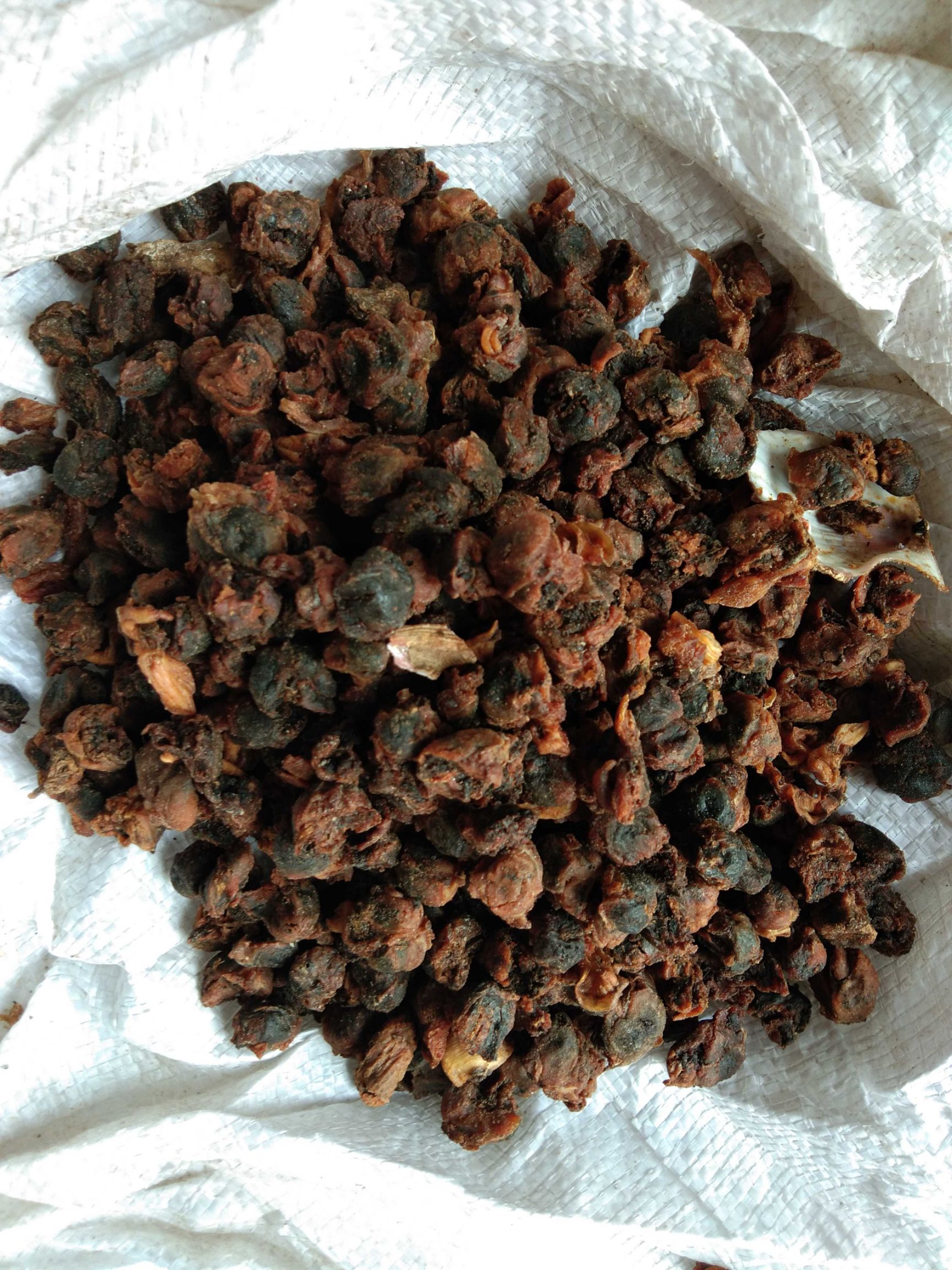 饲料鱼干喂猪河北渤海湾新出水煮熟鱼喂螃蟹气味好价格低量大从优