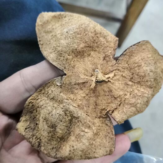 江门新会陈皮 