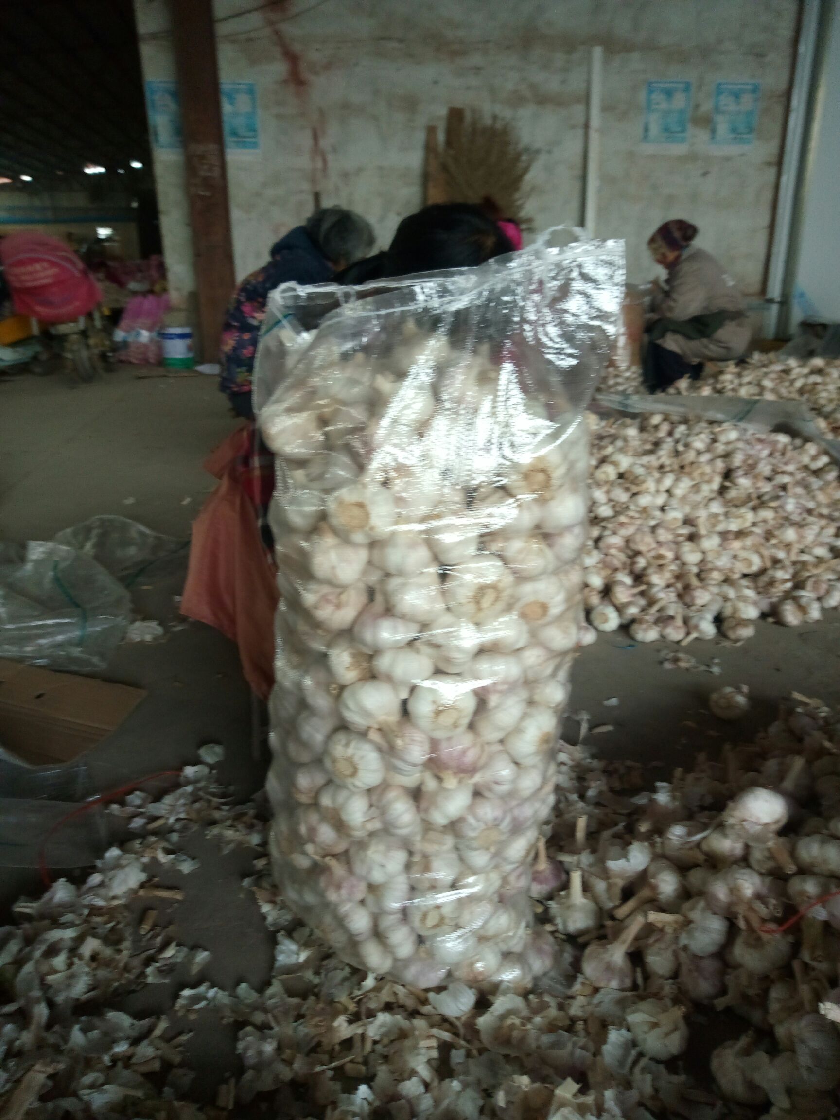 金乡大蒜 6cm以上 多瓣蒜