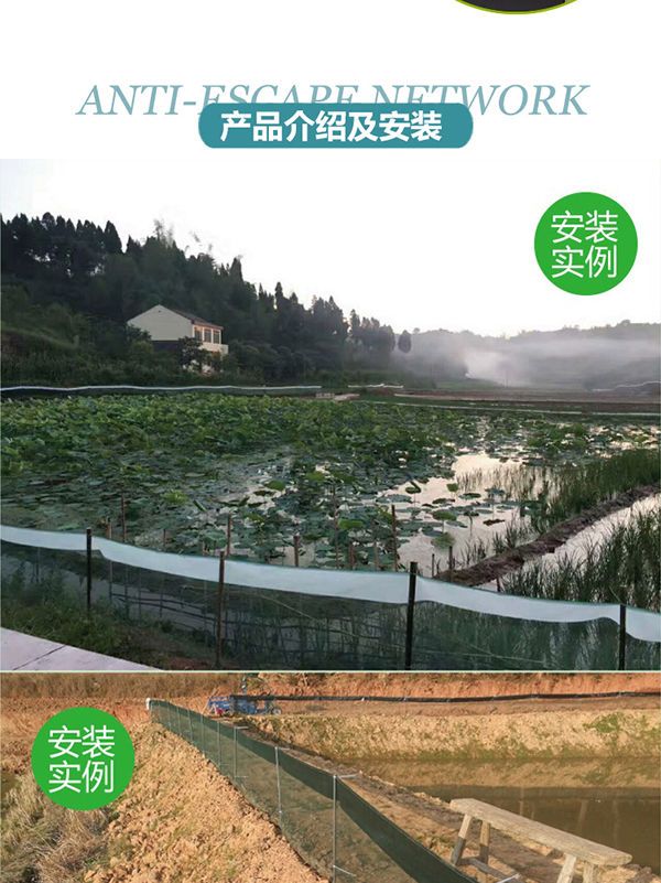 网 龙虾青蛙螃蟹