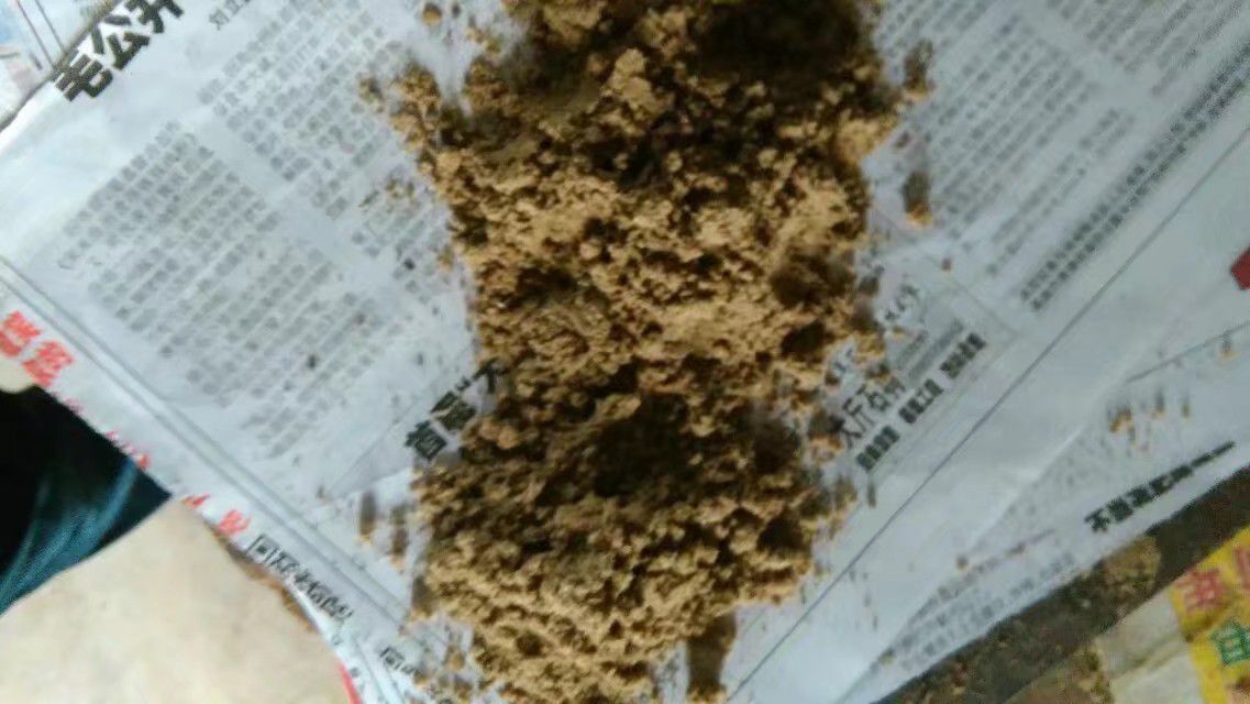 饲料鱼干喂猪河北渤海湾新出水煮熟鱼喂螃蟹气味好价格低量大从优