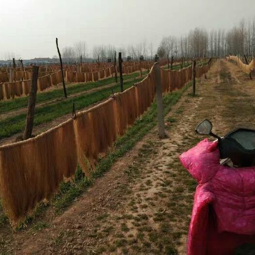 禹州市红薯粉 