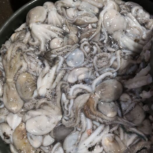 济南深海海鲜 