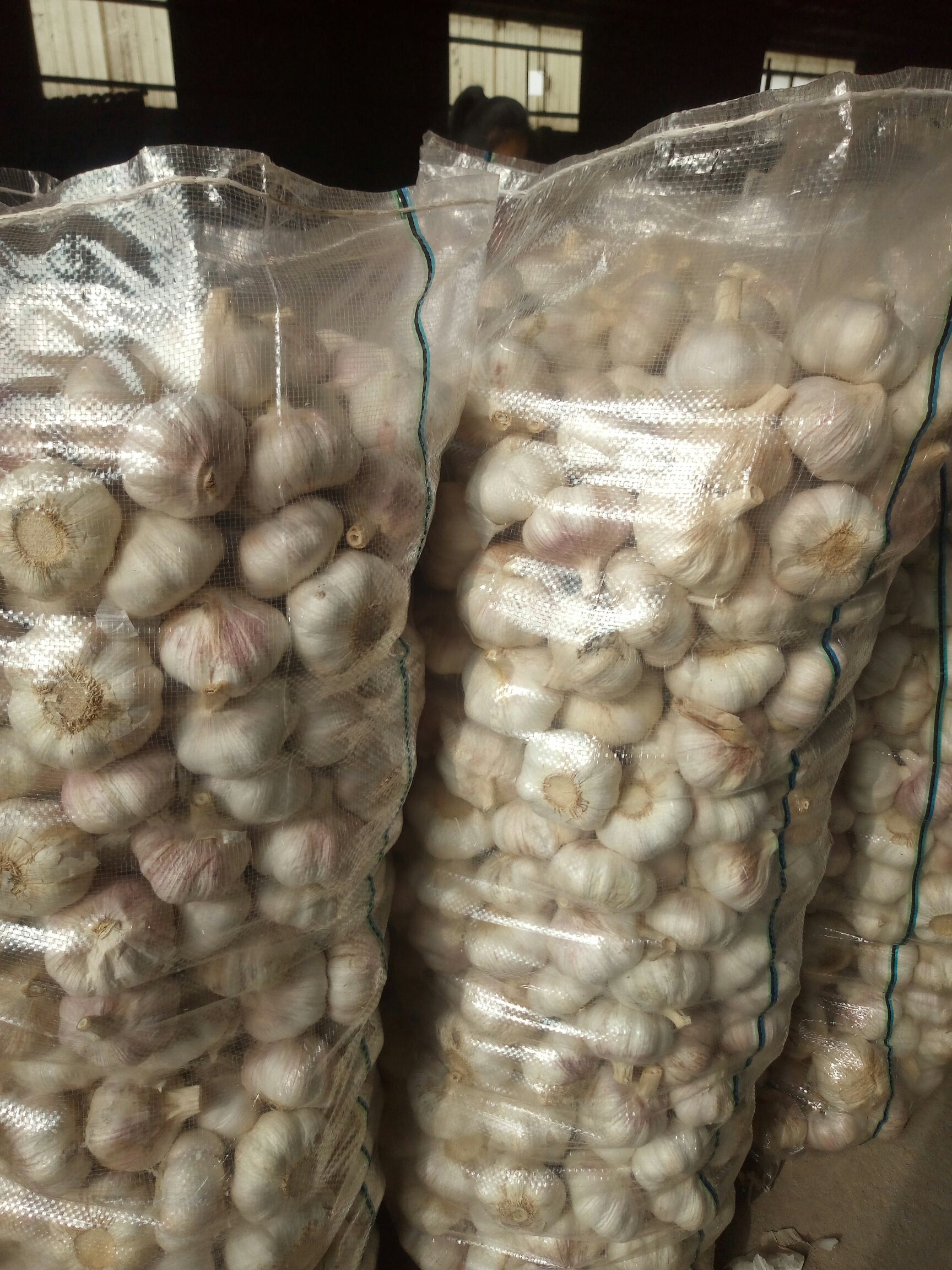 金乡大蒜 6cm以上 多瓣蒜