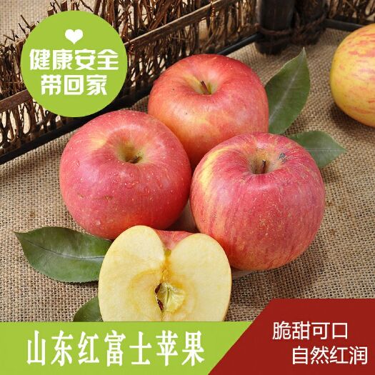 平邑县红富士苹果苗 1~1.5米 