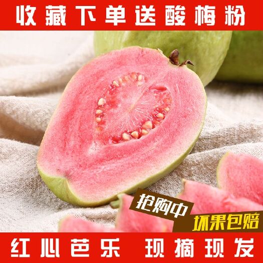平和县福建平和红心芭乐  品种番石榴 鸡高芭乐