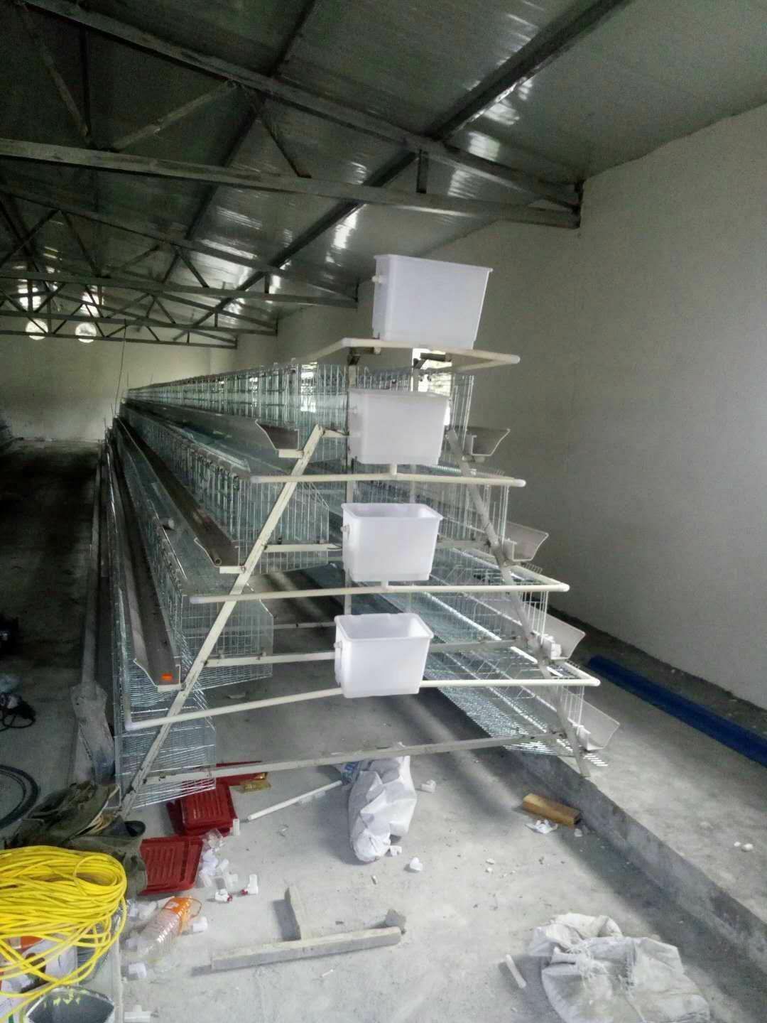  种鸡笼公母混养本交笼二层鸡笼