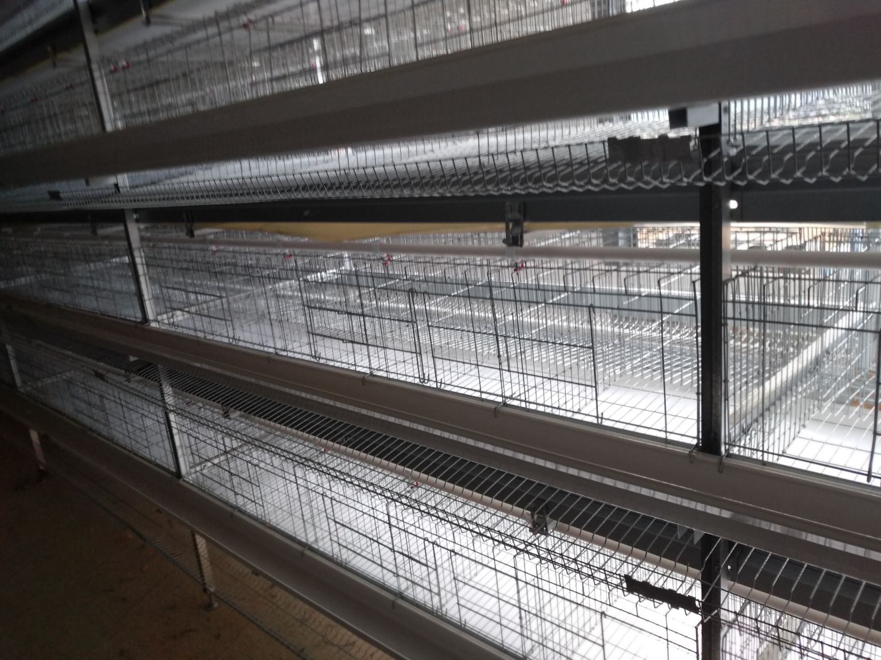  种鸡笼公母混养本交笼二层鸡笼