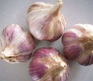 昆明红皮大蒜 混级统货 多瓣蒜 