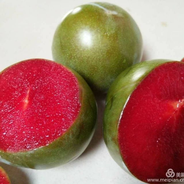 黄桃树苗 大量供货扬梅苗，西梅苗，桃苗，李子苗，质量保证存度。